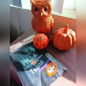 Halloween decorations: ceramic pumpkin, sm. jackolantern, owl , treat bags